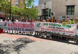 Eco Reserve in Ojén faces second eviction order for failing to comply with environmental and animal welfare regulations