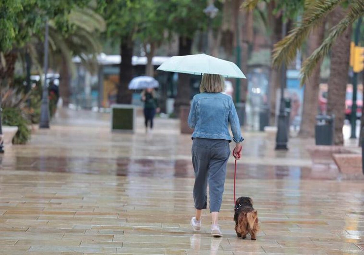 Will there be more rain this weekend in Malaga and along the Costa del Sol?