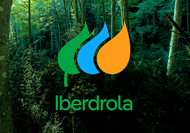 The new Iberdola logo.