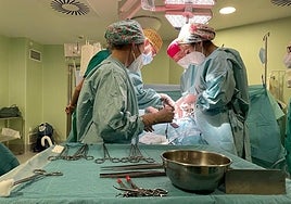 Kidney transplant operation at the Regional Hospital.