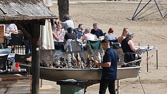 In search of the new king or queen of sardines