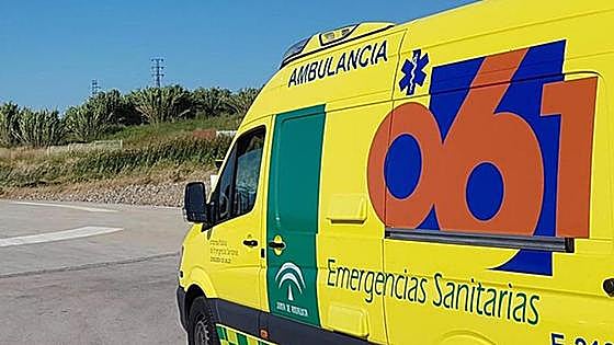 Motorcyclist dies after hitting palm tree in Torremolinos