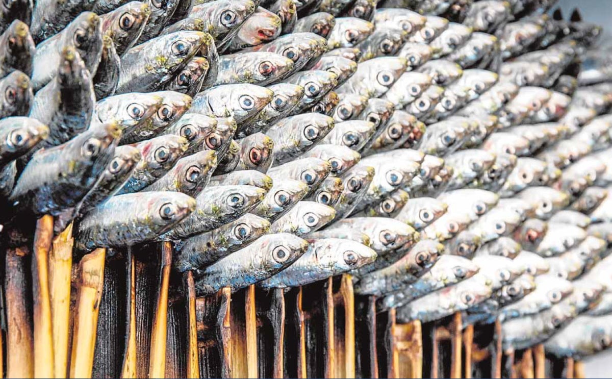 Sardines on skewers.
