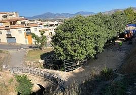 Restoration work gets under way in Cártama.