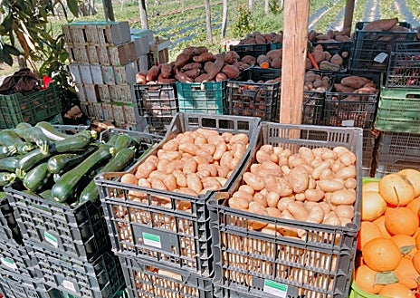 Imagen secundaria 1 - A foreign couple, the stall, strawberry for tomorrow.