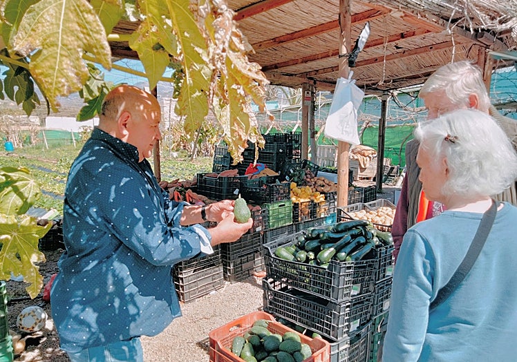 Imagen principal - Miguel's variety.