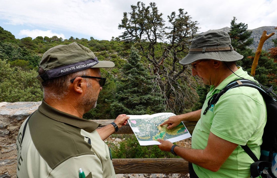 Drought and survival in the Sierra de las Nieves