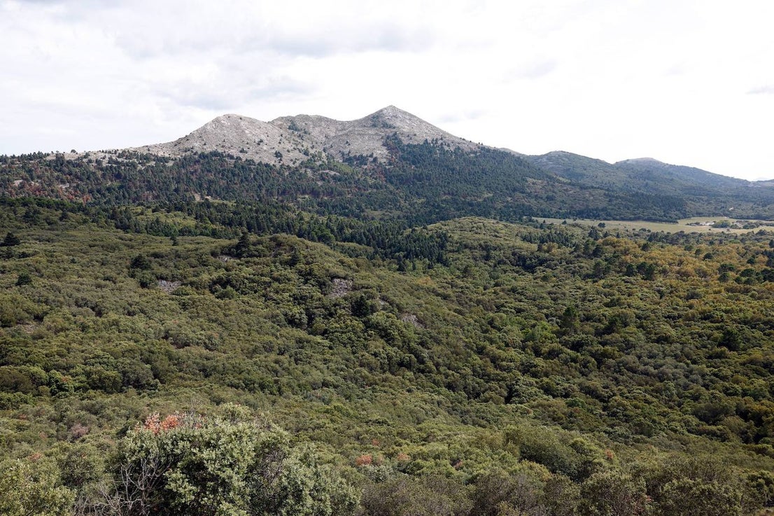 Drought and survival in the Sierra de las Nieves
