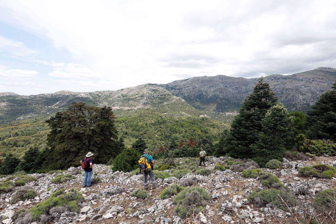 Drought and survival in the Sierra de las Nieves