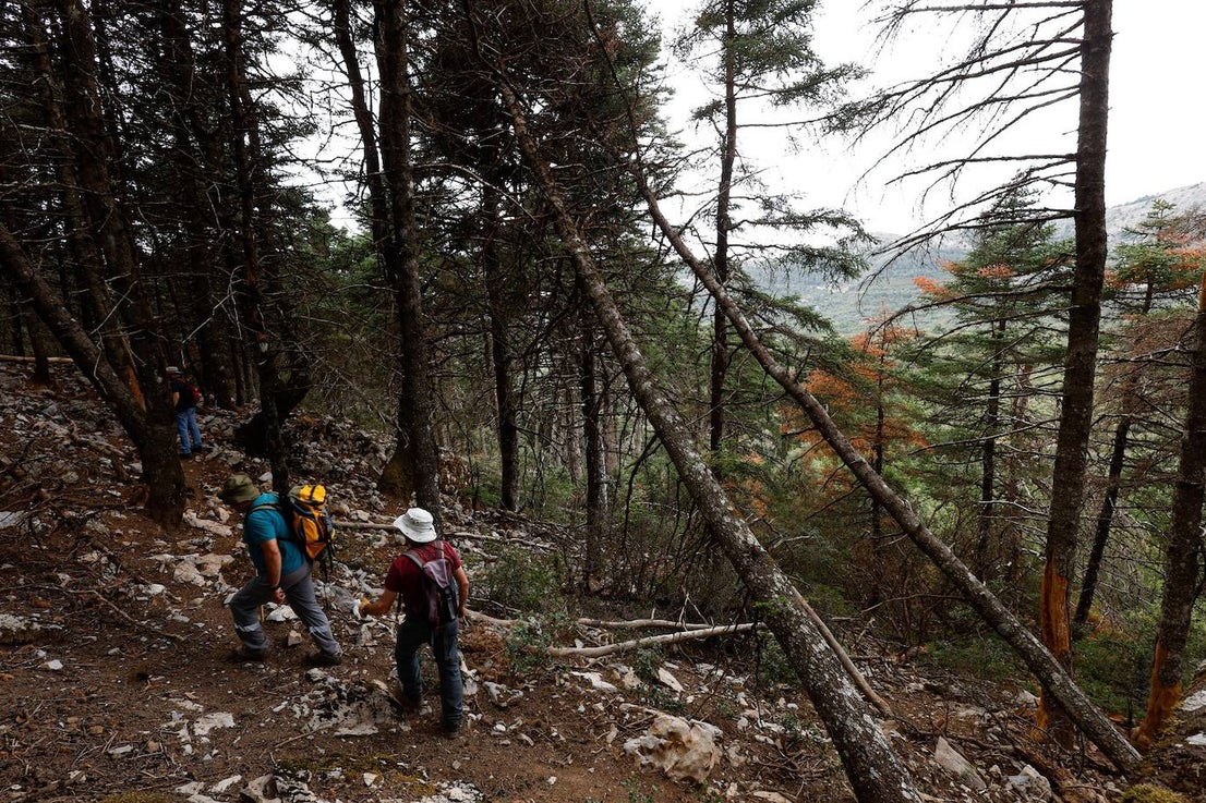 Drought and survival in the Sierra de las Nieves