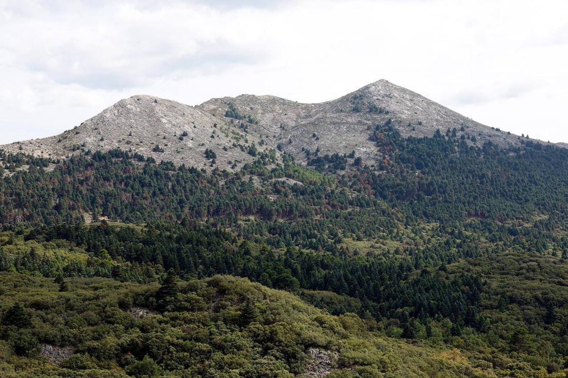 Drought and survival in the Sierra de las Nieves