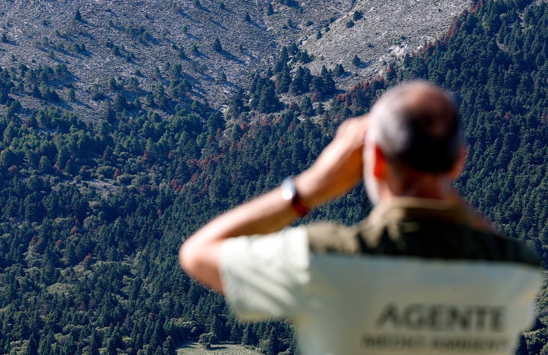 Drought and survival in the Sierra de las Nieves
