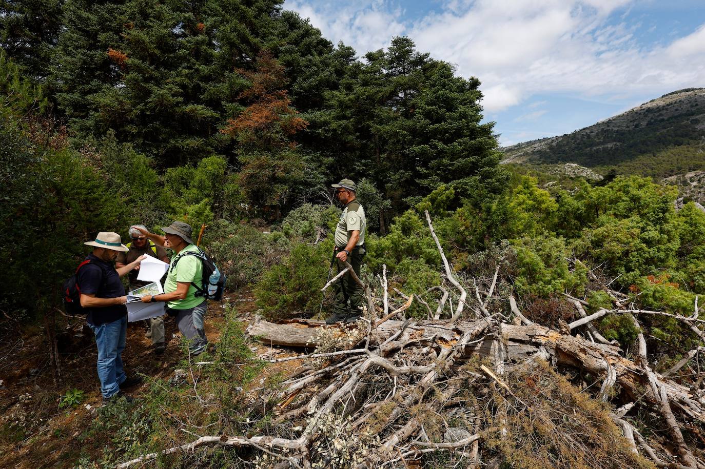 Drought and survival in the Sierra de las Nieves