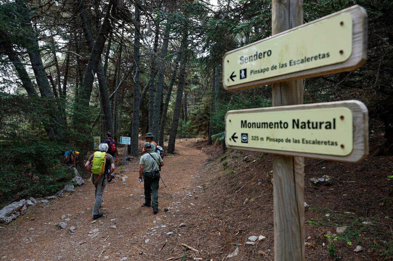 Drought and survival in the Sierra de las Nieves