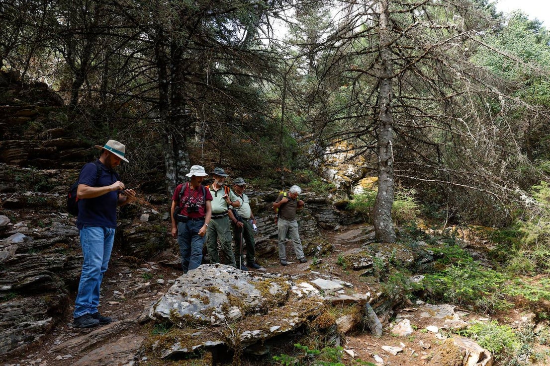 Drought and survival in the Sierra de las Nieves