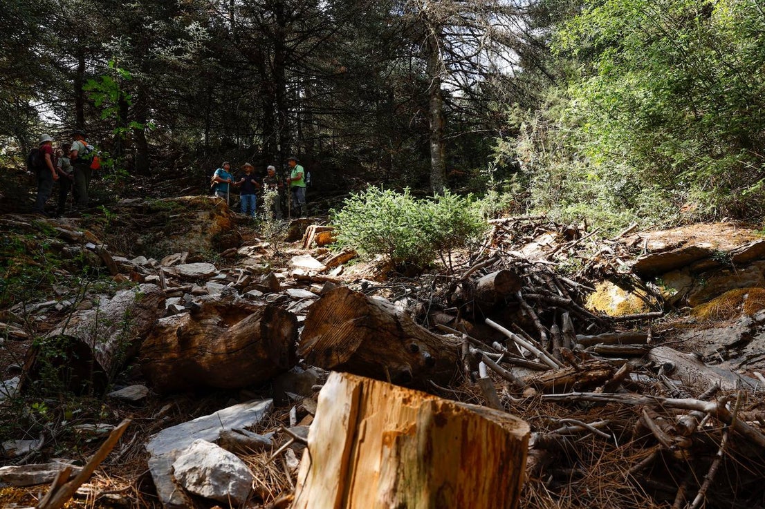 Drought and survival in the Sierra de las Nieves