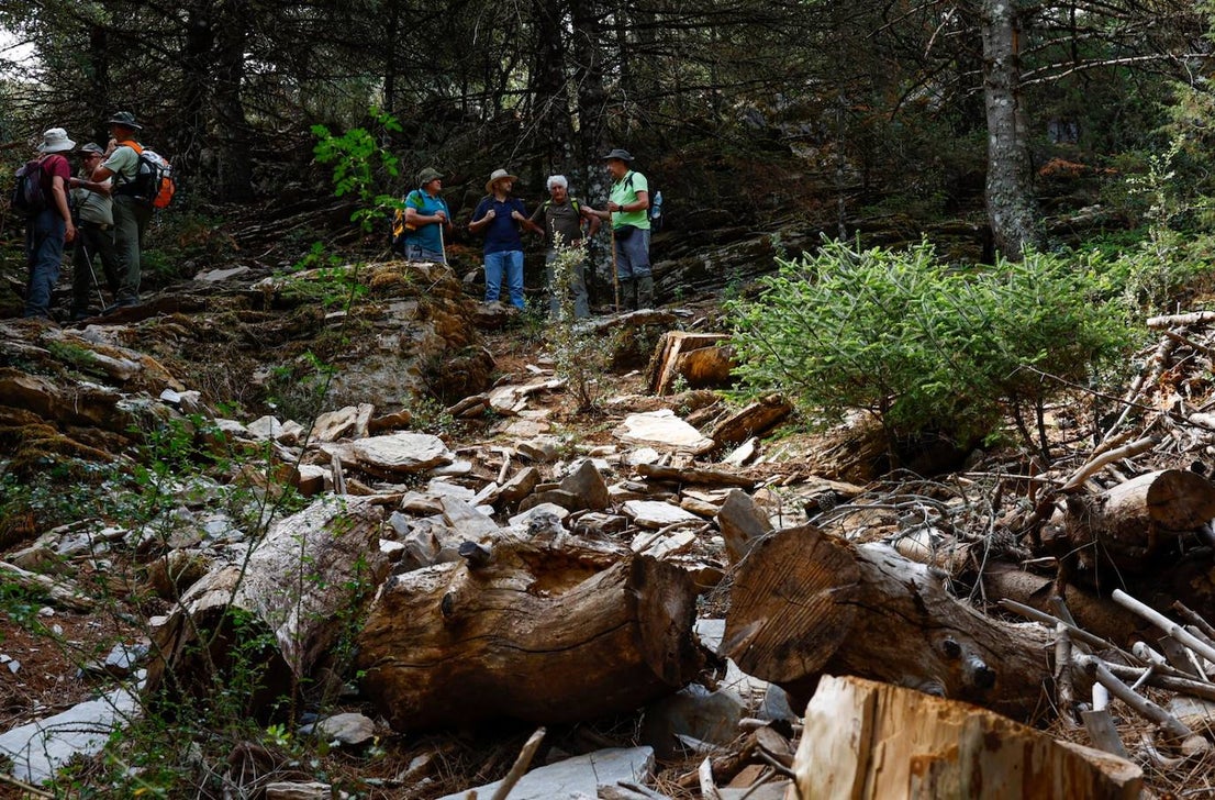 Drought and survival in the Sierra de las Nieves