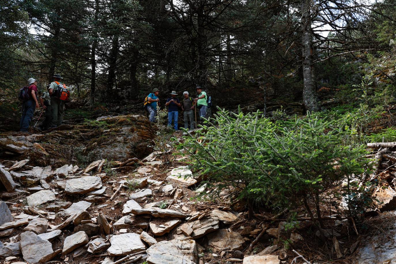 Drought and survival in the Sierra de las Nieves
