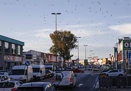 El Viso industrial estate.