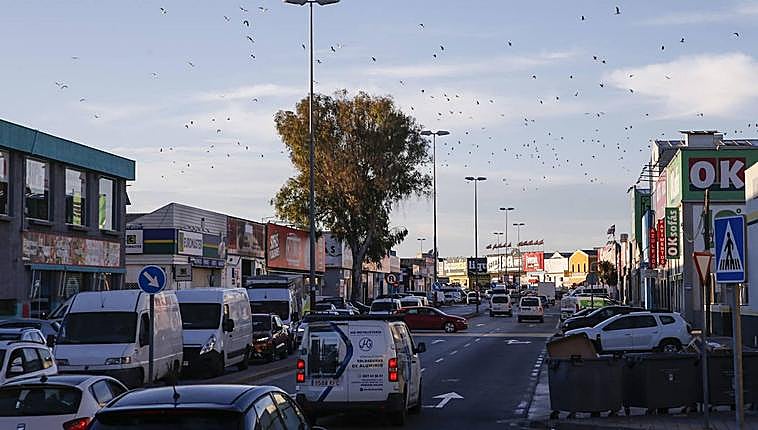 Mi Colchón opens new Estepona store as part of 2.5-million-euro expansion