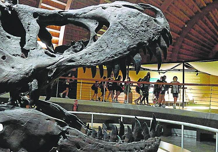 The Jurassic Museum.