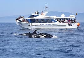 One of the excursion boats on the Strait.