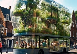 Virtual images of the proposal.