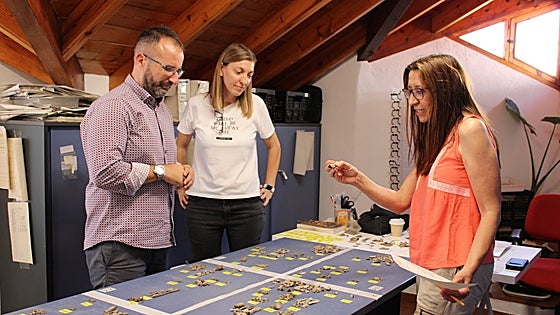 Archaeological investigation of Phoenician burial ground in Mijas moves on to next phase