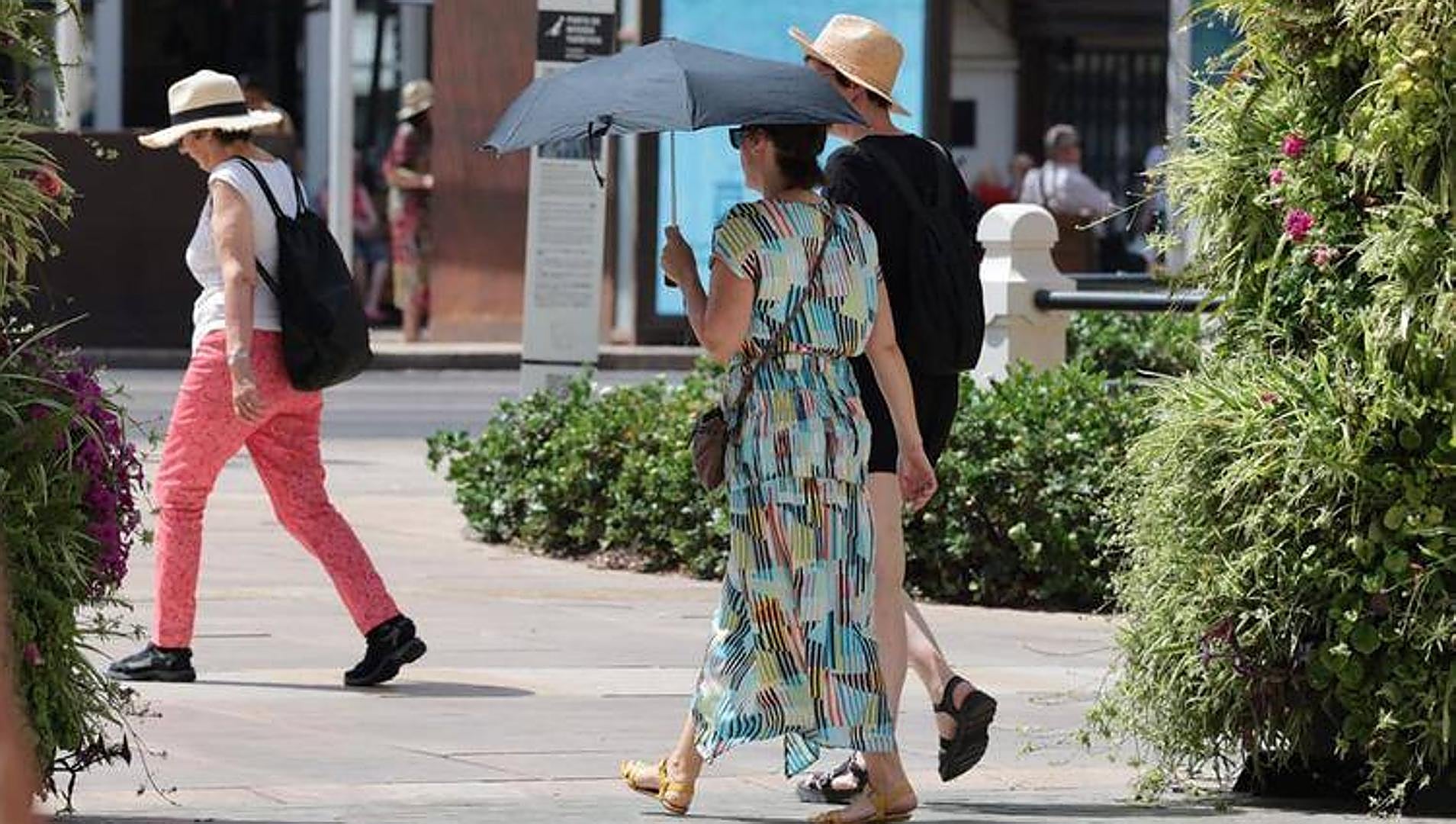 Amber and yellow alerts for heatwave: Malaga heads into a week of scorching high temperatures - Vimarsana News