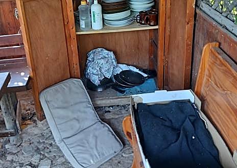 Imagen secundaria 1 - Damage caused to the arboretum.