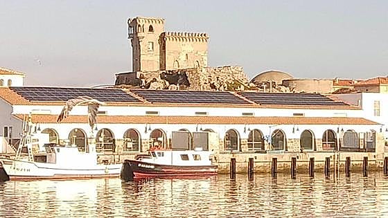 Tarifa harbour fish market and ice factory to be powered by rooftop solar energy plant