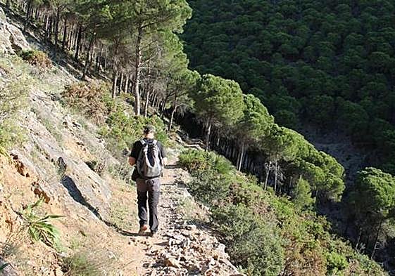 Archive photo of the Cañada Gertrudis, in the Sierra de Mijas.