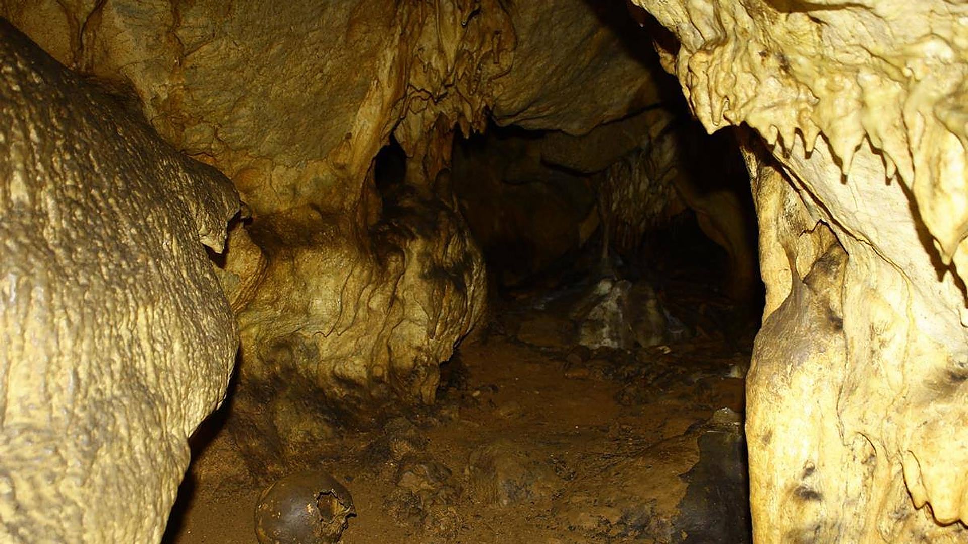 Stalactites, cave paintings and mild temperatures in Malaga's caves - Vimarsana News