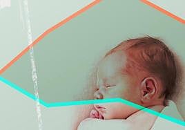 Birth rate in Malaga dropped last year.