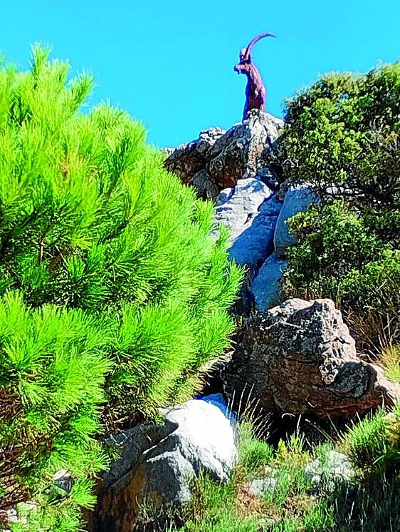 A trip to the fairy-tale forest of Juanar