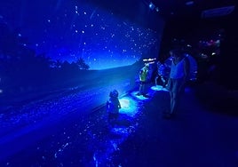 Visitors in the display room where the bioluminescent beach is recreated.