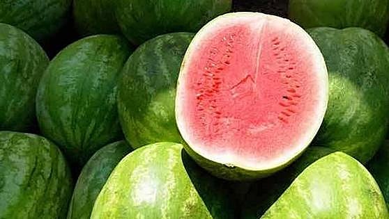 Health alert for presence of high levels of pesticides in watermelons from Morocco
