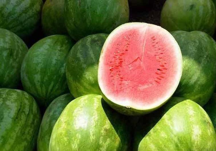Health alert for presence of high levels of pesticides in watermelons from Morocco
