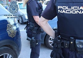Police manhunt after driver runs over partner with stolen car in Antequera