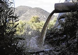 Dumping of wastewater into the Guadalhorce river at Estación de Cártama.