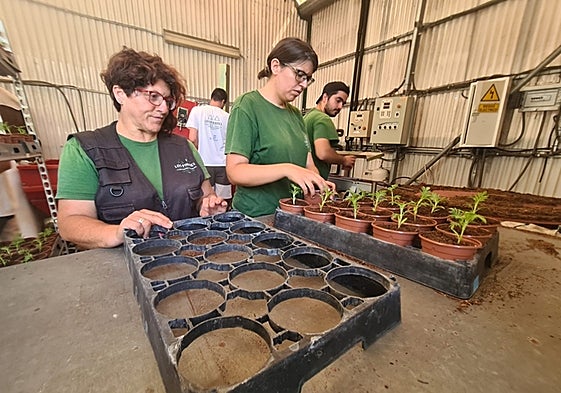 Workers at the garden centre in Torremolinos.
