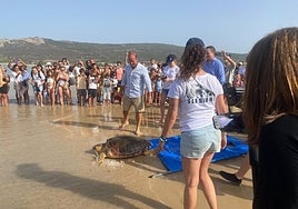 The release of the turtles on Bolonia beach.