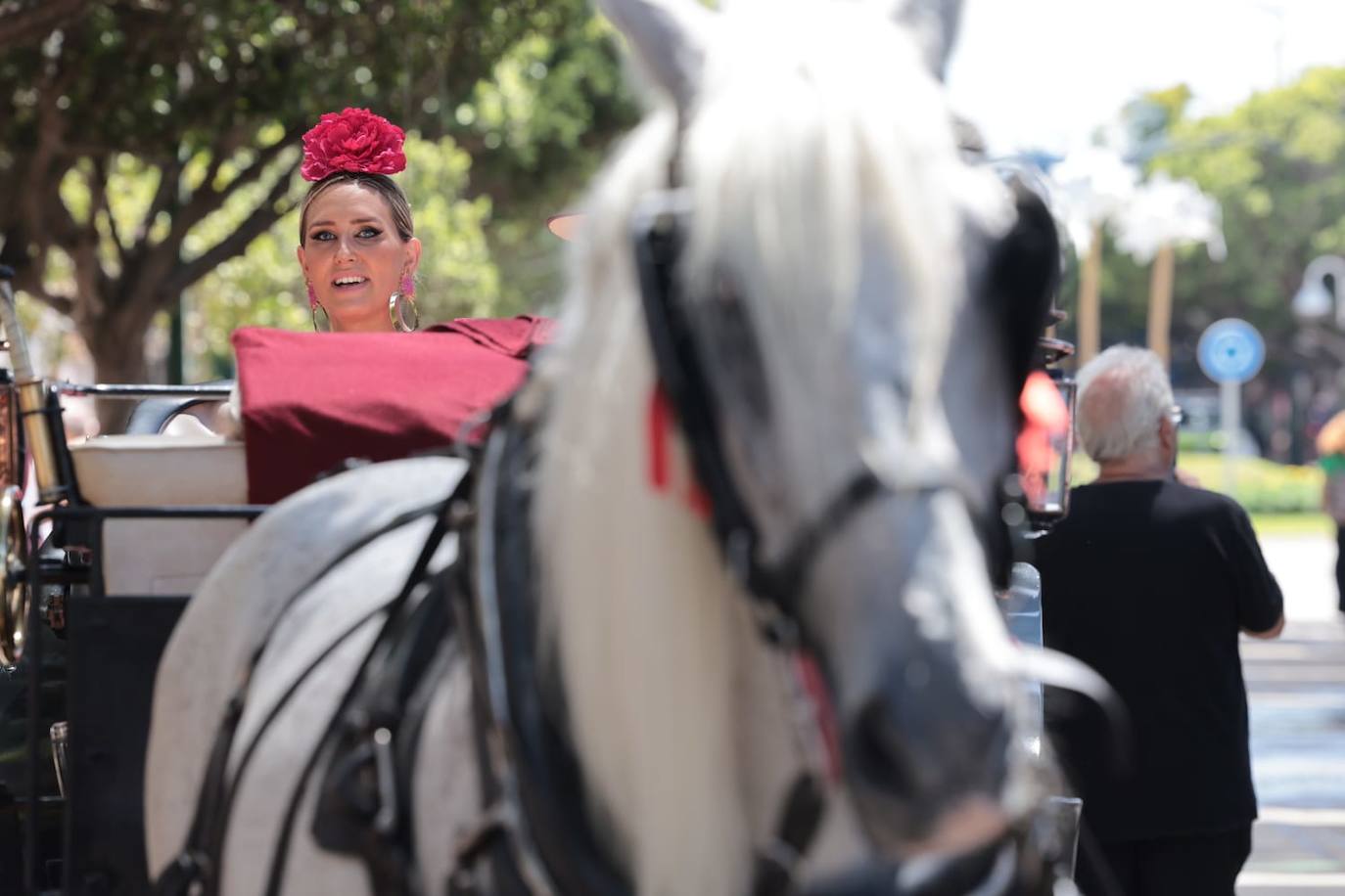 Picture special: Malaga's summer fair 2023, in full swing