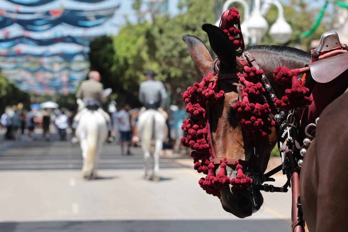 Picture special: Malaga's summer fair 2023, in full swing