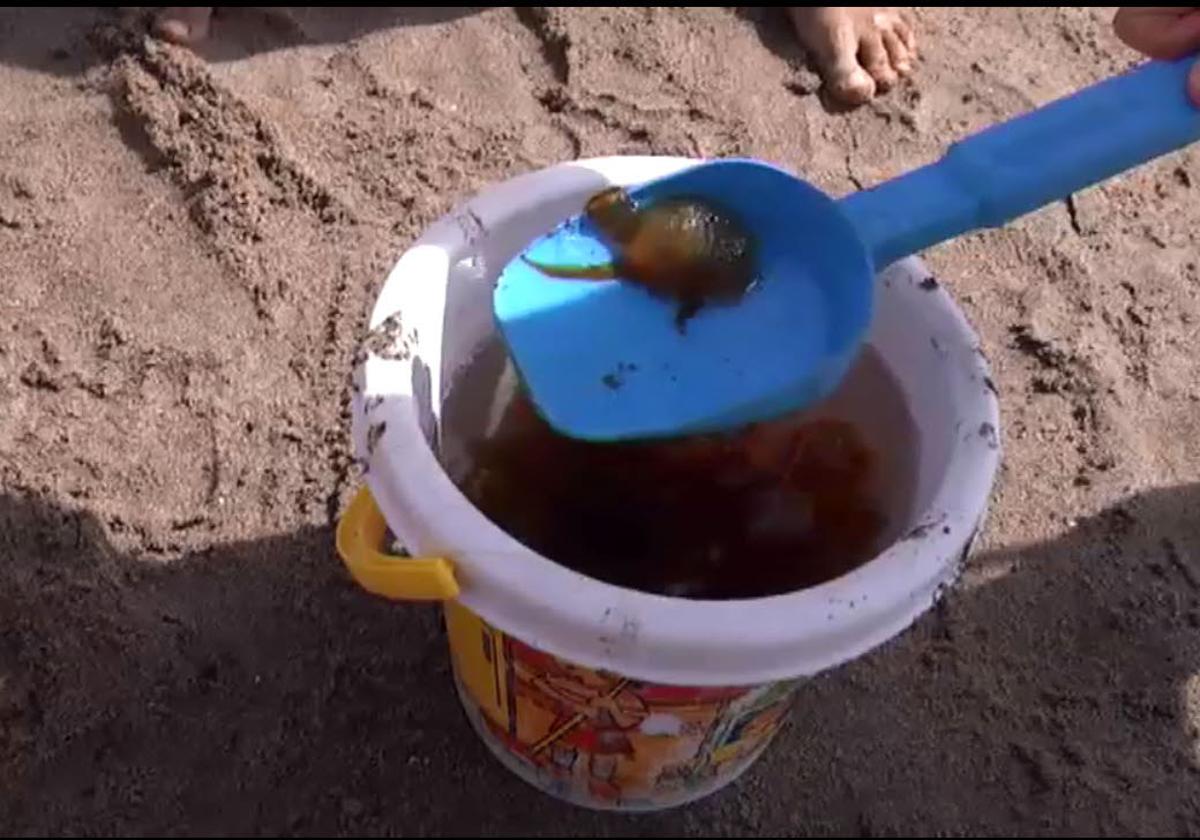 These are the Costa del Sol beaches where jellyfish have been spotted this Sunday