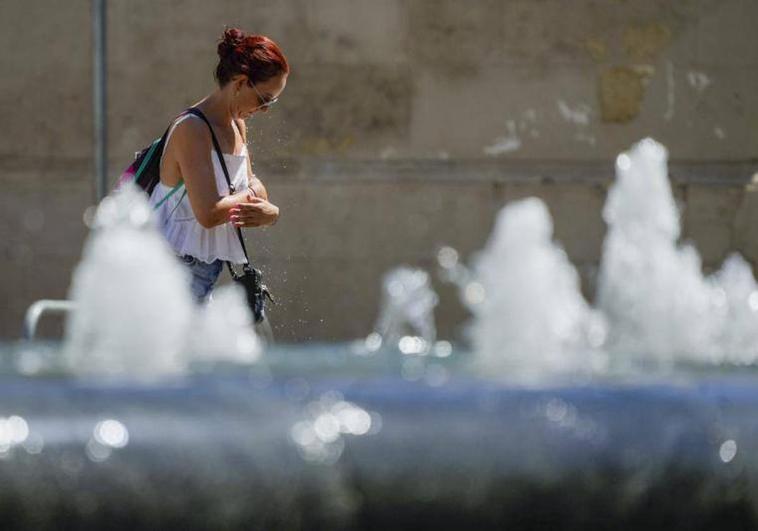 Yellow level warning activated for high temperatures in Malaga province, with the mercury reaching up to 38C