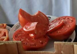 Almost 2,000 euros bid for best lote of bull's ball tomatoes at annual competition in Coín
