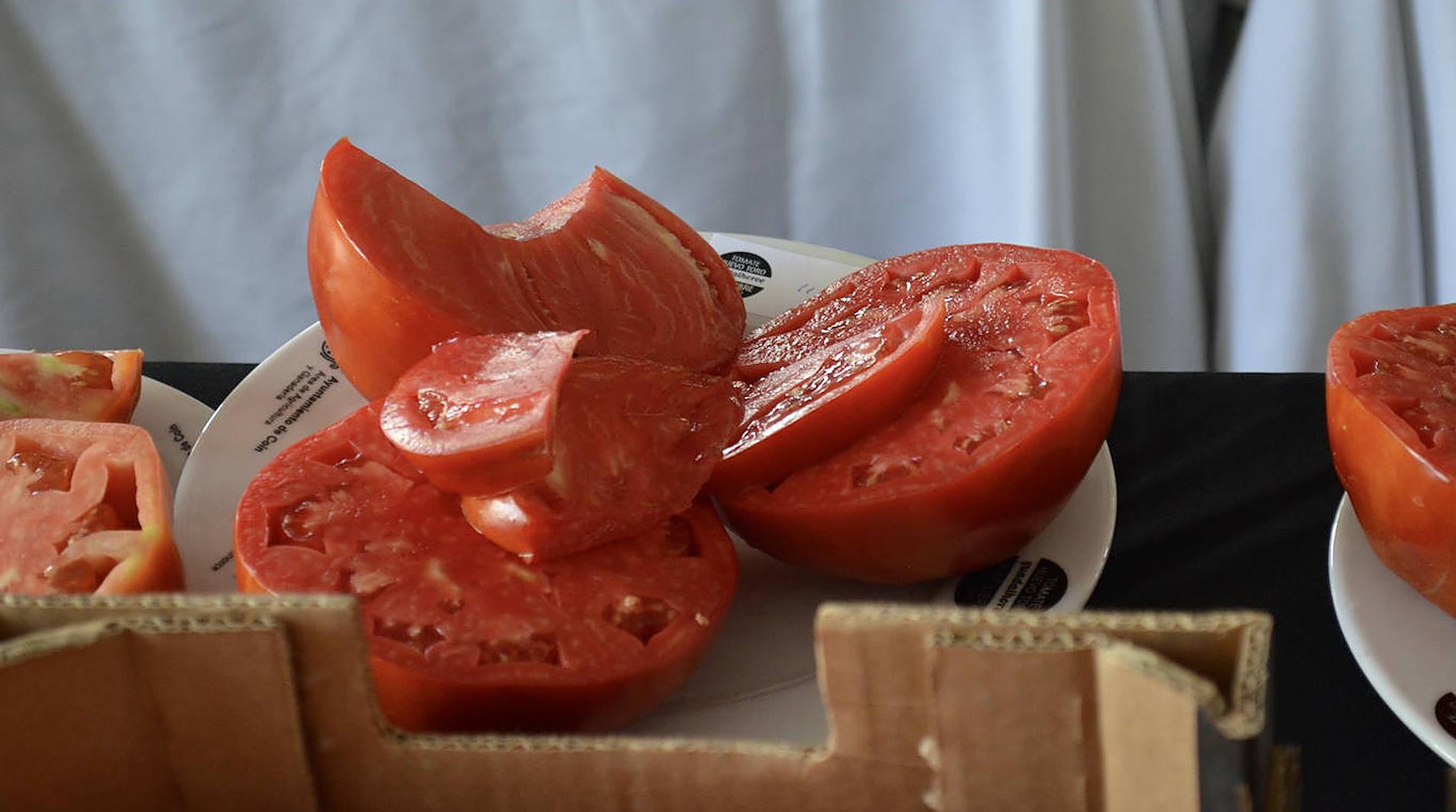 Almost 2,000 euros bid for best lote of bull's ball tomatoes at annual competition in Coín - Vimarsana News