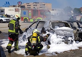 Members of the provincial fire brigade working to extinguish the fire this Tuesday in Vélez-Málaga.
