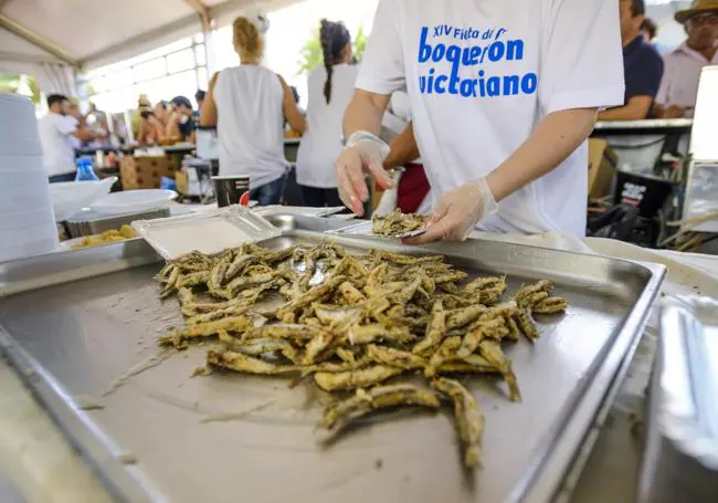 During these days in Rincón, anchovies will be the protagonist.